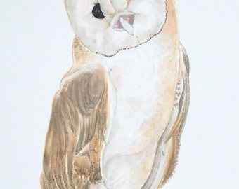 Barn Owl marker drawing 8.5x11 on white cardstock paper