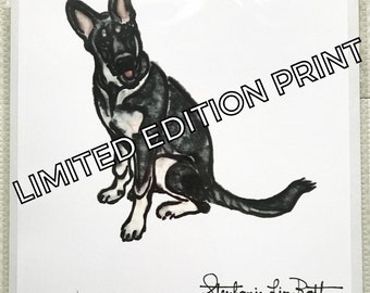 Limited Edition Print of President Joe Biden’s Dog Major Portrait of First Dog Major Biden German Shepherd Drawing
