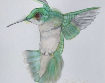 SALE Mint green and grey Hummingbird in flight marker drawing 8.5x11 inch on white cardstock paper