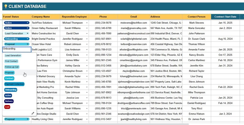 Client Tracker Spreadsheet: Google Sheets CRM, Lead Management (digital ...