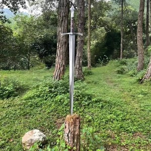 May include: A long, silver sword with a crossguard and a decorative pommel is displayed upright on a tree stump in a forest setting. The sword's blade is long and straight, reflecting the surrounding greenery. The handle is dark brown.