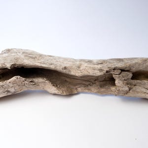 May include: A piece of weathered driftwood with a light grey, textured surface. The wood features a long, deep, hollowed-out cavity running through the centre, showcasing natural erosion, rough edges, and a pale, sun-bleached appearance.