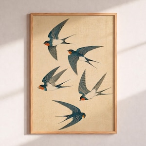 Peut inclure: Une affiche encadrée représentant cinq hirondelles en vol. Les oiseaux ont des ailes bleu foncé, un ventre blanc et des marques orange sur le visage. Le fond est beige clair et le cadre est en bois.