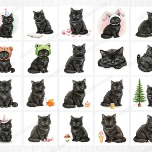 May include: A collection of watercolor illustrations featuring black cats in various poses and with different accessories. Some cats wear hats, including a party hat, bunny ears, and a frog hat. Other cats are shown with flowers, a book, and a Christmas tree.