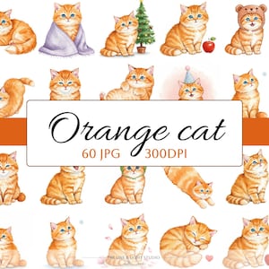 May include: A collection of watercolor illustrations featuring orange tabby cats in various poses. Some cats are wearing hats or wrapped in blankets. The text "Orange cat" is displayed on a white banner.