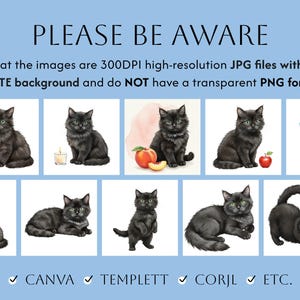 May include: A digital art print featuring a collection of black cat illustrations in various poses, set against a white background. The text "PLEASE BE AWARE" and other details are included. The images are 300DPI JPG files.