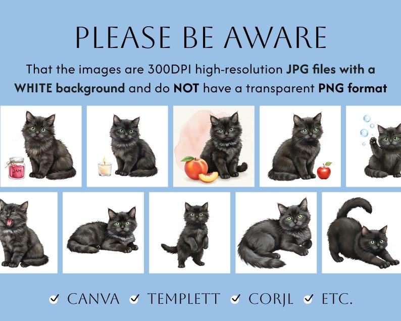 May include: A digital art print featuring a collection of black cat illustrations in various poses, set against a white background. The text "PLEASE BE AWARE" and other details are included. The images are 300DPI JPG files.