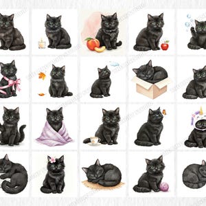 May include: A collection of watercolor illustrations featuring black cats in various poses and settings. Some cats are depicted with accessories like a pink bow, a unicorn hat, or a cup of tea. The images have a soft, artistic style.