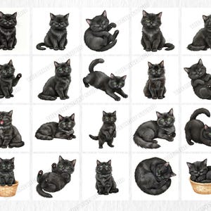 May include: A collection of watercolor illustrations of black cats in various poses. The cats are depicted in different positions, including sitting, standing, and playing. Some cats are in baskets. The artwork has a whimsical and artistic style.