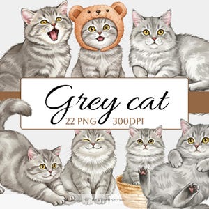 Grey Cat Clipart Bundle, Watercolor Kitten PNG Images (Digital Download)