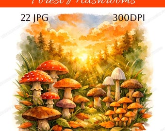 22 Watercolor Forest Mushrooms Watercolor Clipart Bundle, Autumn Woodland Mushroom Illustration Set, Fall Nature Art JPG