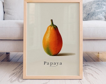 Papaya Fruit Poster, Vintage Botanical Kitchen Wall Art