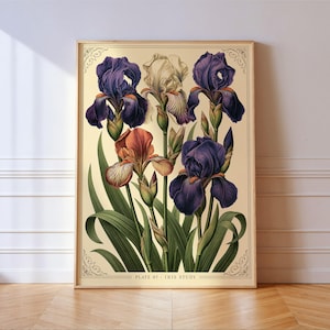 Può includere: Una stampa botanica incorniciata raffigurante diversi fiori di iris in tonalità viola intenso, arancione e crema con steli e foglie verdi. La stampa presenta uno sfondo color crema chiaro con decorazioni agli angoli e il testo PLATE 07 - IRIS STUDY.