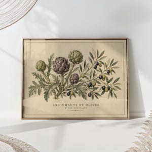 Könnte beinhalten: Ein gerahmter botanischer Druck auf beigem Hintergrund mit detaillierten Illustrationen von grünen und violetten Artischocken sowie Olivenzweigen mit dunklen und hellen Oliven. Der Text ARTICHAUTS ET OLIVES ETUDE BOTANIQUE steht darunter.