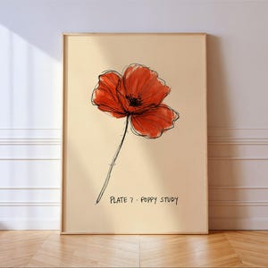 Pode incluir: Uma impressão de arte de parede vertical emoldurada apresentando uma papoula vermelha com contornos de esboço em tinta preta sobre um fundo bege claro. O texto "PLATE 7 - POPPY STUDY" está impresso em preto no canto inferior.