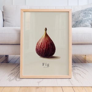 Fig Kitchen Poster, Minimalist Fruit Botanical Wall Art Print, French Farmhouse Decor