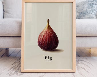 Fig Kitchen Poster, Minimalist Fruit Botanical Wall Art Print, French Farmhouse Decor