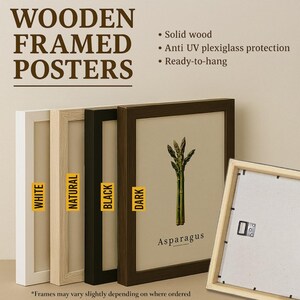 May include: Wooden framed posters in white, natural, black, and dark brown. Each frame is made of solid wood and features anti-UV plexiglass protection. The poster in the dark brown frame displays an asparagus illustration. The text reads "Asparagus".