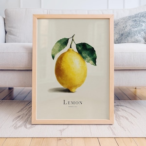Lemon Watercolor Print – Minimal Italian Kitchen Wall Art, Farmhouse Citrus Décor, Sorrento Lemon Illustration for Dining Room or Pantry