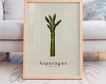 May include: A framed print featuring a botanical illustration of asparagus. The artwork showcases a bundle of green asparagus spears against a light beige background. The word "Asparagus" is printed in a simple font below the image.