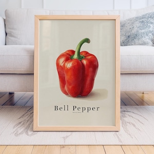 Bell Pepper Watercolor Print – Minimal Red Pepper Kitchen Art, Rustic Spanish Vegetable Illustration, Farmhouse Wall Décor