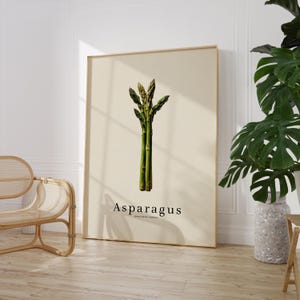 May include: A framed botanical print featuring a detailed illustration of asparagus. The artwork showcases a bundle of green asparagus stalks against a beige background. The word "Asparagus" is printed in a simple font below the illustration.