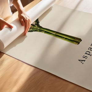 May include: A rolled white poster with the word "Asparagus" in black font, with a green asparagus illustration. The poster is being unrolled on a light beige surface. The text "BADEN-BADEN, GERMANY" is below the word "Asparagus".