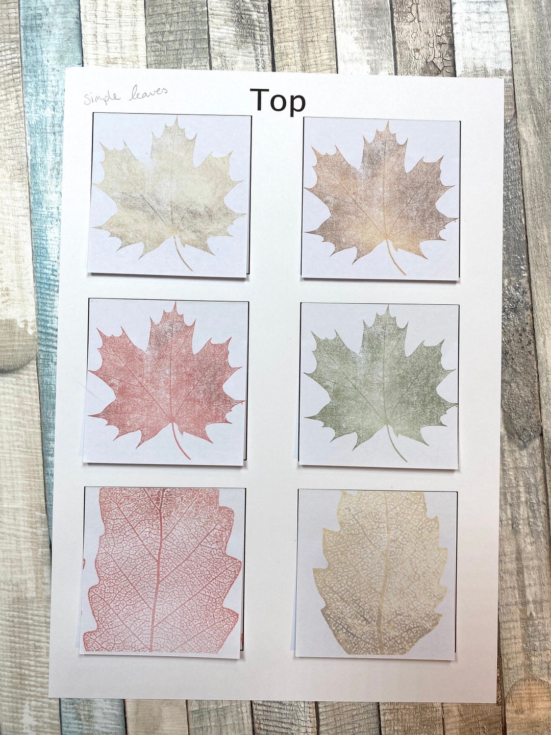 Simple Leaves Autumn PRINTABLE Sticky Notes - Etsy
