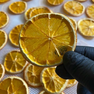 Dried orange slices - cocktail orange slices - dried citrus slices natural