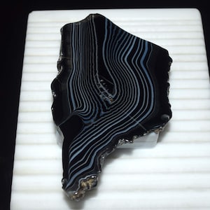 May include: A polished slice of black agate stone featuring distinct, concentric white and light grey banding patterns. The mineral specimen has an irregular, organic shape with a smooth, glossy surface that highlights the natural layered structure.