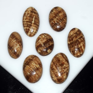May include: Seven oval-shaped gemstones with a polished, glossy finish. The stones are a mix of light and dark brown, with a wood-grain pattern. The gemstones are arranged on a white surface.