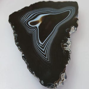 May include: A polished, irregularly shaped agate slice. The stone features concentric bands of white and light blue against a dark brown background. The outer edge has a rough, natural texture.