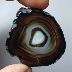 Può includere: Una fetta di pietra d'agata lucidata con bande concentriche di tonalità marroni, bianche e blu. Il bordo esterno è scuro e ruvido, mentre il centro presenta un'area bianca a forma di goccia. La pietra è tenuta tra due dita.