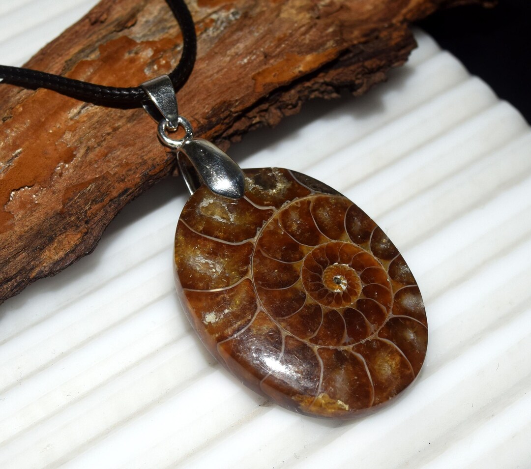 Talimanok Shell Natural Ammonite Fossil Pendant Necklace, Polished Oval Spiral Shell ...