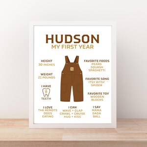 May include: A framed print with the name "HUDSON" and "MY FIRST YEAR" in brown text. The print includes a brown overall graphic, height 30 inches, weight 21 pounds, and favorite things like foods, song, and toy.