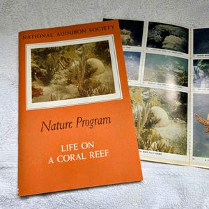 May include: An orange booklet from the National Audubon Society's Nature Program, titled "Life on a Coral Reef." The cover features a framed image of a coral reef. The booklet is open to reveal additional images of marine life.