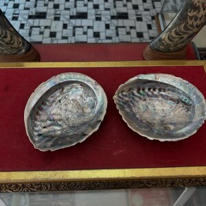 Large Abalone Shell Trinket Dish – Natural Seashell Jewelry Holder, Iridescent Coastal Decor Bowl, Beach House Vanity Tray