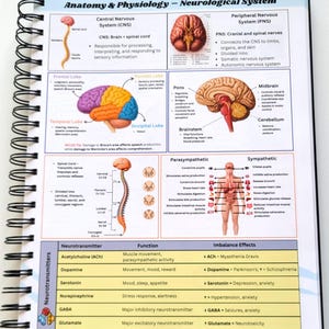 May include: A spiral-bound notebook open to a page detailing the anatomy and physiology of the neurological system. The page includes diagrams of the brain, spinal cord, and neurotransmitters, with labels and descriptions. The text includes "Anatomy & Physiology - Neurological System".