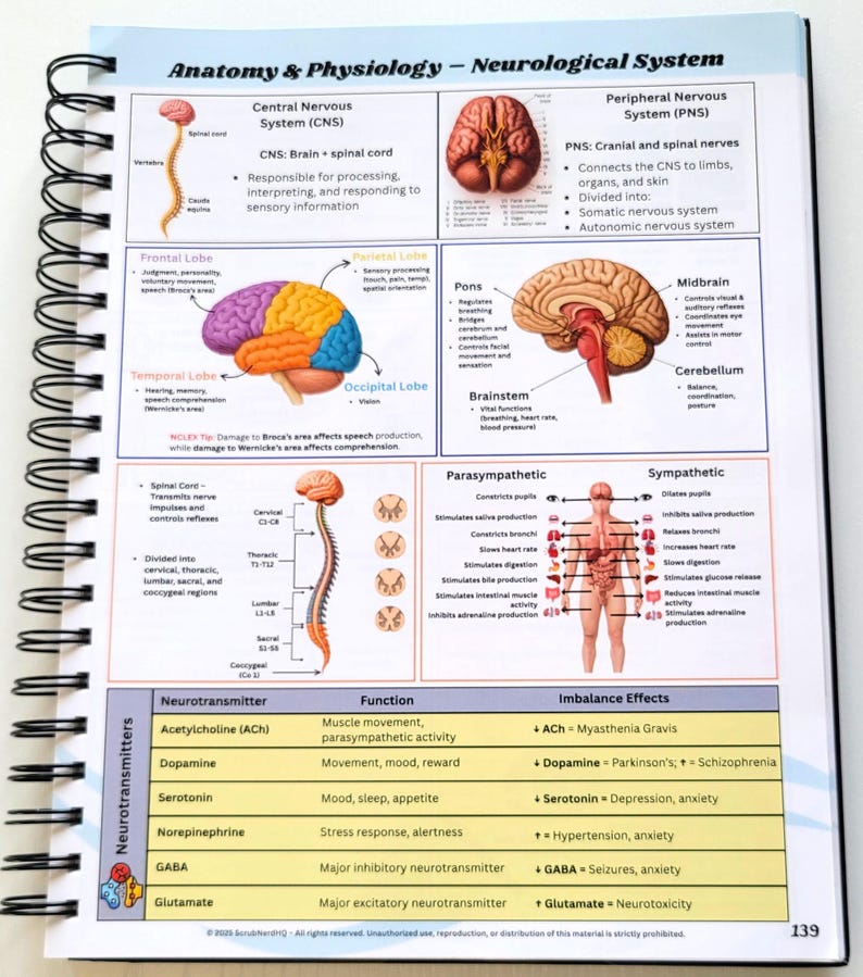 May include: A spiral-bound notebook open to a page detailing the anatomy and physiology of the neurological system. The page includes diagrams of the brain, spinal cord, and neurotransmitters, with labels and descriptions. The text includes "Anatomy & Physiology - Neurological System".