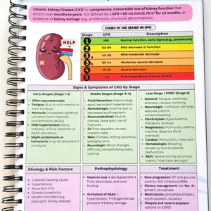 May include: A medical reference page from a spiral-bound notebook details Chronic Kidney Disease (CKD). The page includes stages, symptoms, risk factors, and treatments. A cartoon kidney with a bandage is featured.
