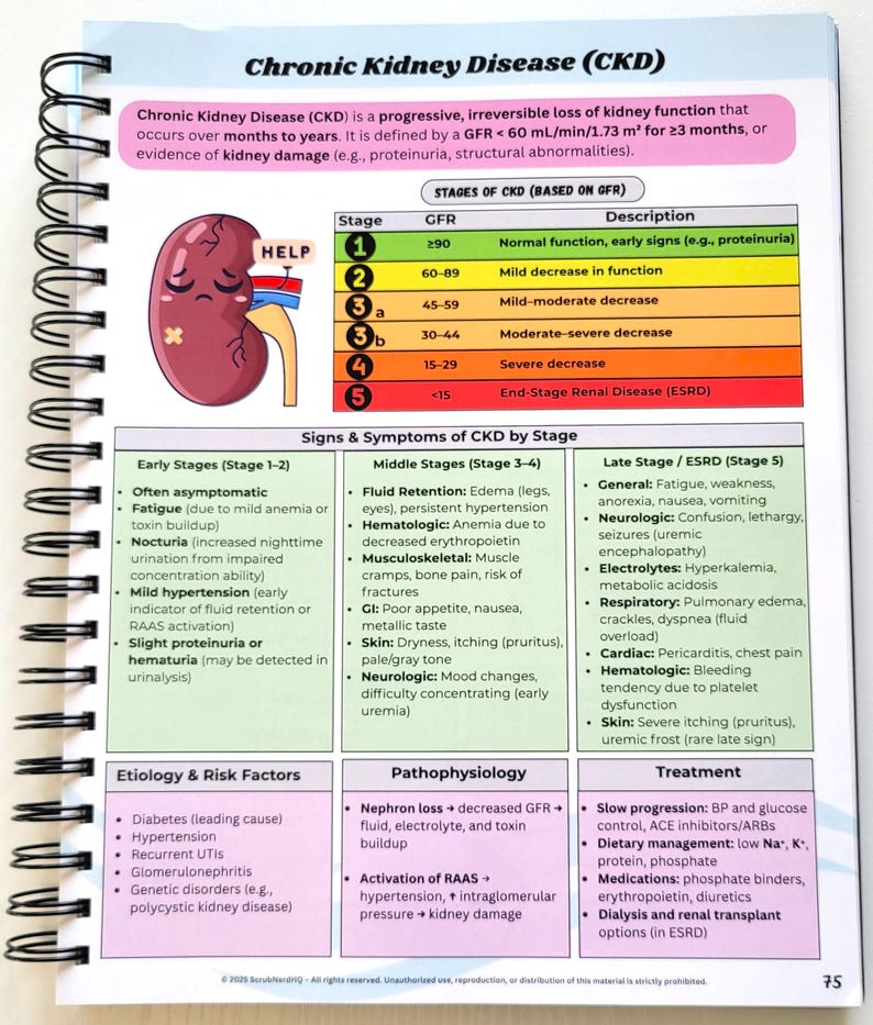 May include: A medical reference page from a spiral-bound notebook details Chronic Kidney Disease (CKD). The page includes stages, symptoms, risk factors, and treatments. A cartoon kidney with a bandage is featured.