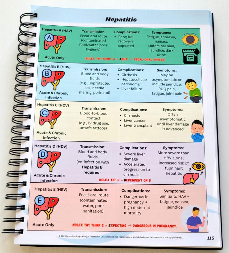 May include: A spiral-bound notebook page detailing different types of hepatitis. The page includes diagrams of the liver, transmission methods, complications, and symptoms for Hepatitis A, B, C, D, and E. The title "Hepatitis" is at the top.