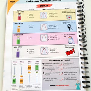 May include: A spiral-bound notebook page detailing insulin types and administration. The page is divided into sections for rapid, short, intermediate, and long-acting insulin, with diagrams and text. The title "Endocrine System: Insulin" is at the top.