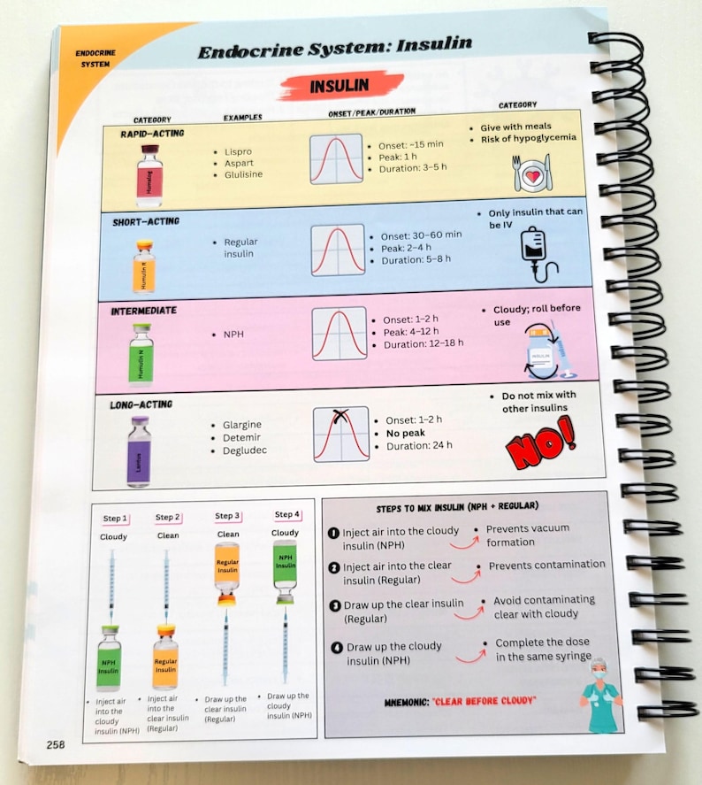 May include: A spiral-bound notebook page detailing insulin types and administration. The page is divided into sections for rapid, short, intermediate, and long-acting insulin, with diagrams and text. The title "Endocrine System: Insulin" is at the top.