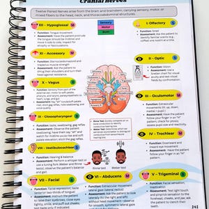 May include: A spiral-bound notebook page detailing cranial nerves. The page includes diagrams of the brain and cranial nerves, along with descriptions of their functions and assessments. Text includes "Cranial nerves" and numbered nerve names.
