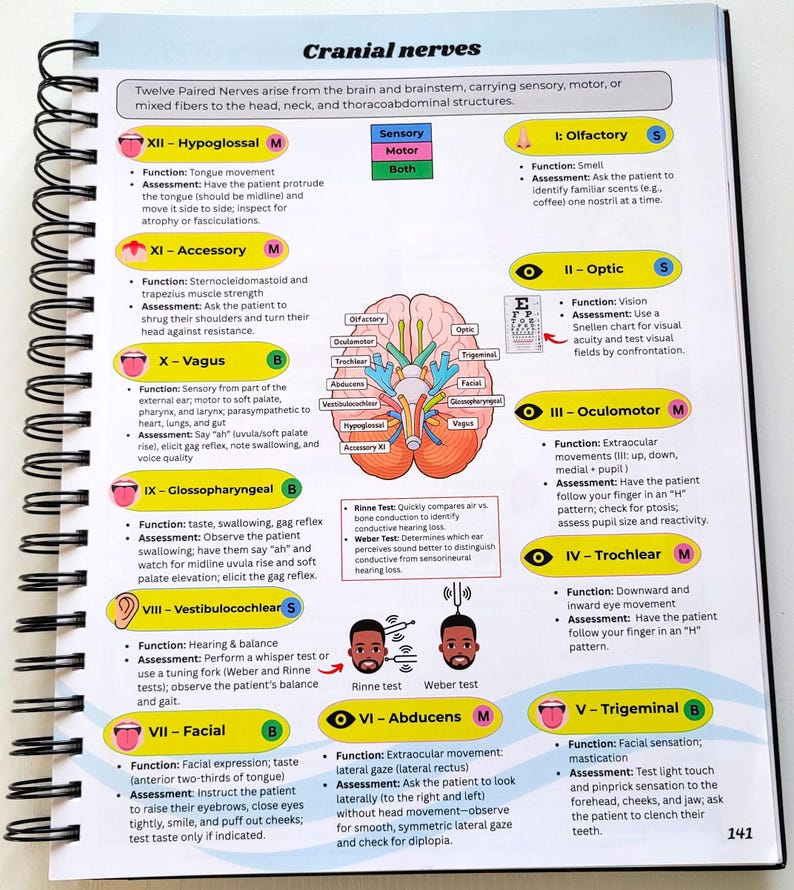 May include: A spiral-bound notebook page detailing cranial nerves. The page includes diagrams of the brain and cranial nerves, along with descriptions of their functions and assessments. Text includes "Cranial nerves" and numbered nerve names.