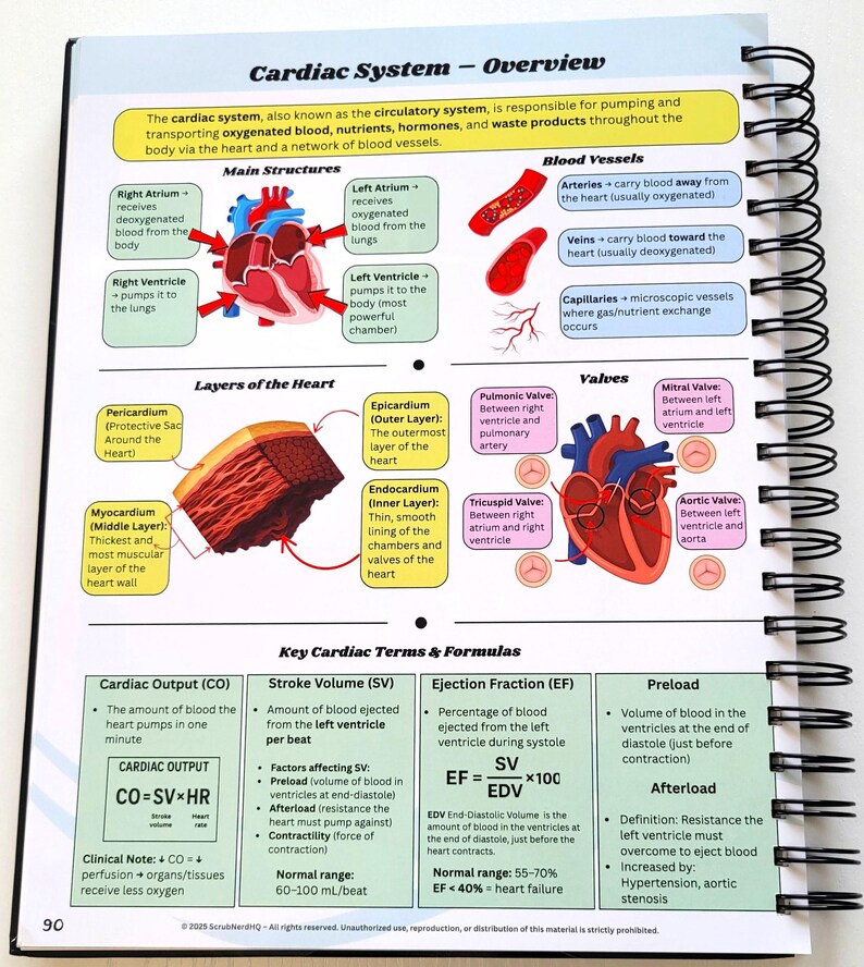 May include: Anatomy diagram of the cardiac system, including the heart's main structures, blood vessels, layers, and valves. Key terms and formulas are also displayed, such as cardiac output and stroke volume. The text includes the phrase "Cardiac System - Overview."