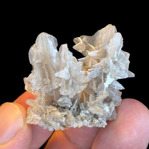 Pode incluir: Um aglomerado de estruturas cristalinas translúcidas de cor bege pálido com bordas afiadas e pontiagudas e uma superfície irregular e multifacetada. O espécime mineral exibe um arranjo complexo de lâminas e pontas entrelaçadas, criando uma forma texturizada e irregular com graus variados de reflexão de luz em suas faces cristalinas.
