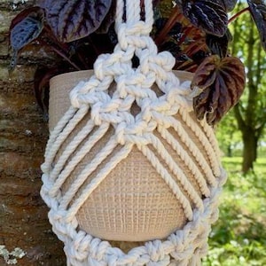 May include: A cream-colored macrame plant hanger with a beige pot holding a plant with dark purple leaves. The plant hanger is knotted with thick, sturdy rope. The background shows a tree trunk and a blurred green landscape.