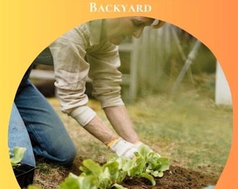 Uprawa warzyw na podwórku – kompletny przewodnik po uprawie świeżych i zdrowych warzyw we własnym ogródku